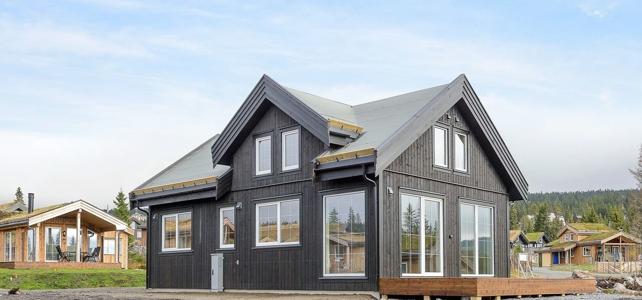 Summer 2020 results. Supplement the series of Norwegian houses in Lillehammer.